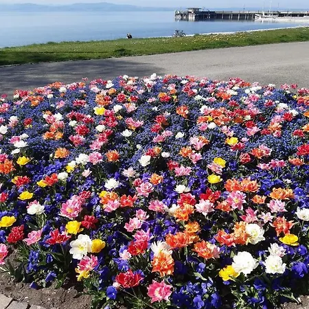 Haus Franke Lejlighed Langenargen