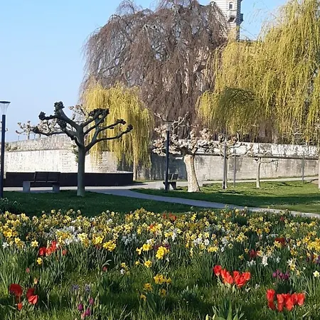 Haus Franke Lejlighed Langenargen