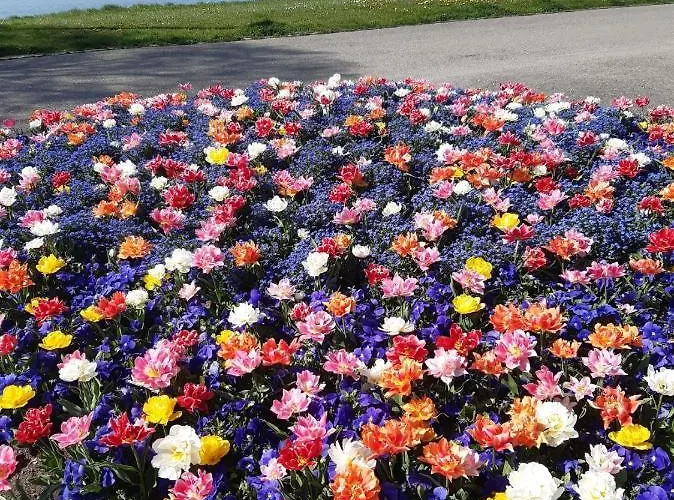 Haus Franke アパート ランゲナルゲン