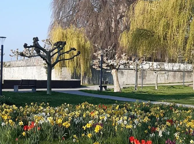 Haus Franke アパート ランゲナルゲン